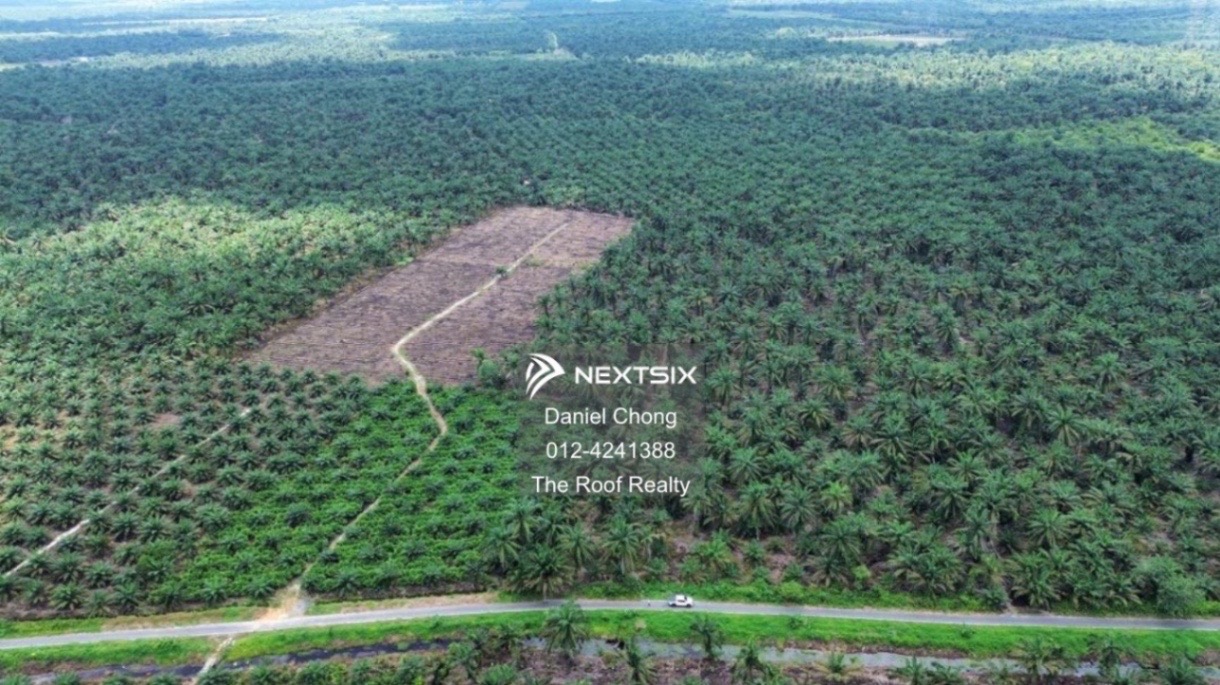 Agricultural Land For Sale in Pekan Nanas Johor