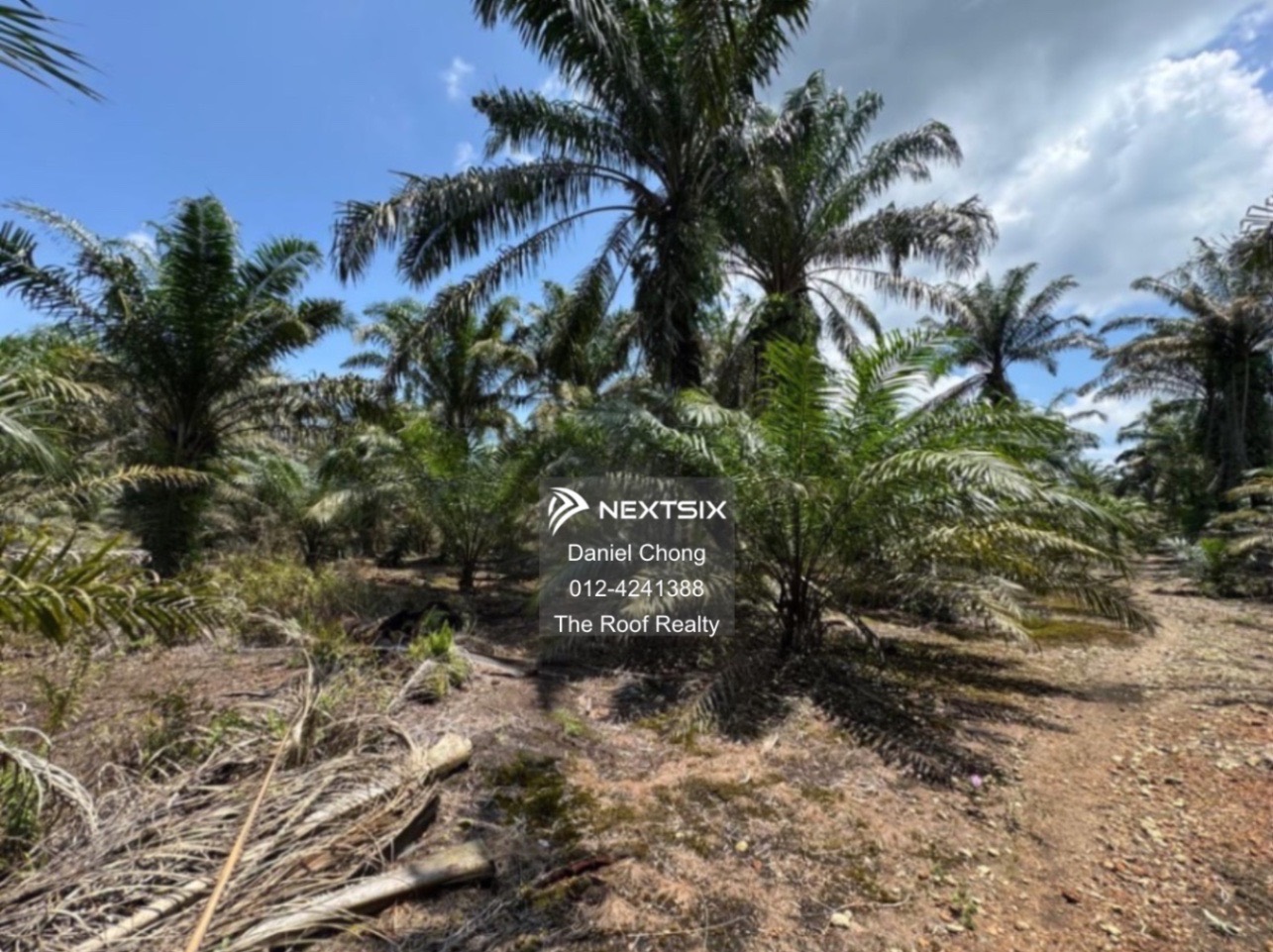 Agricultural Land For Sale in Pekan Nanas Johor - Image 7