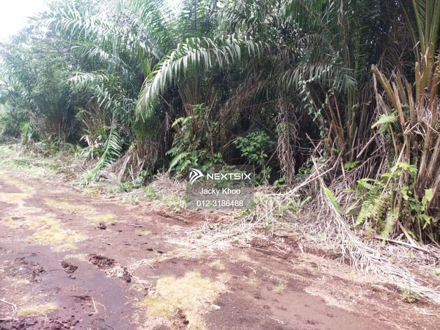 Agricultural Land For Sale in Telok Panglima Garang Selangor - Image 10