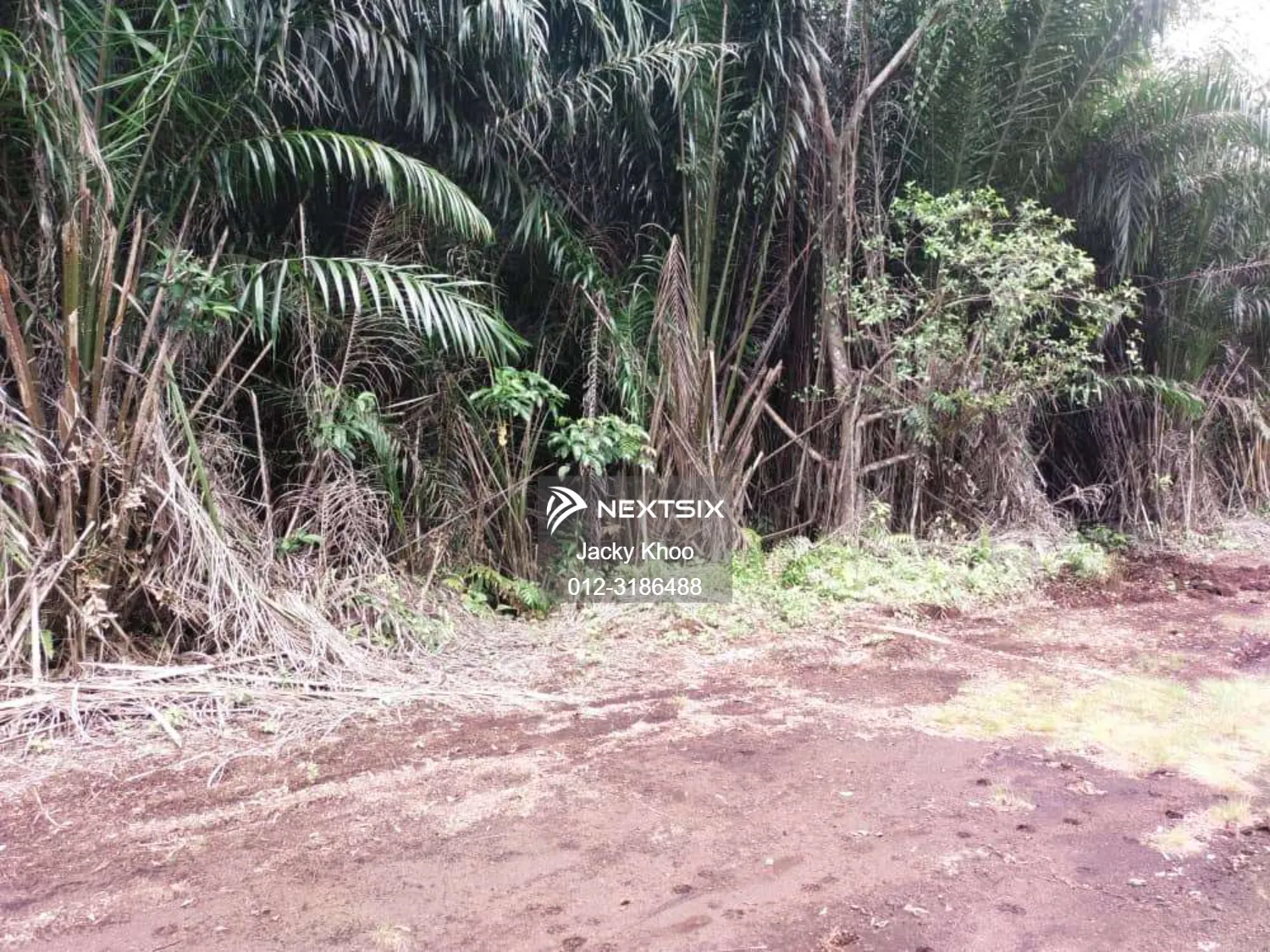 Agricultural Land For Sale in Telok Panglima Garang Selangor - Image 5