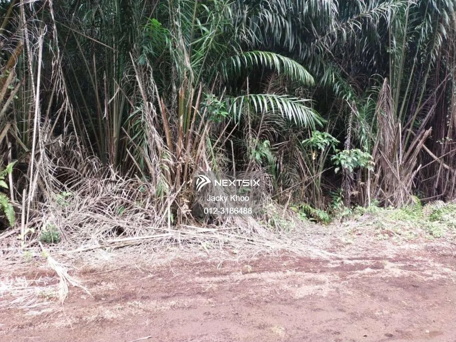 Agricultural Land For Sale in Telok Panglima Garang Selangor - Image 6