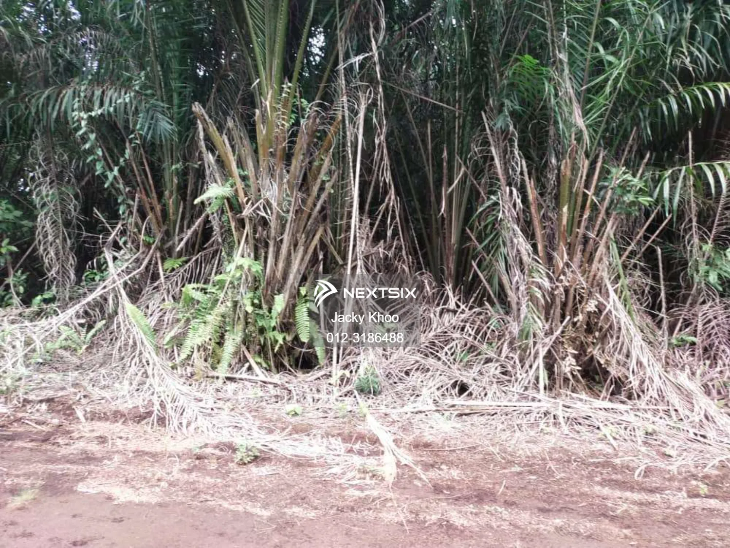 Agricultural Land For Sale in Telok Panglima Garang Selangor - Image 7