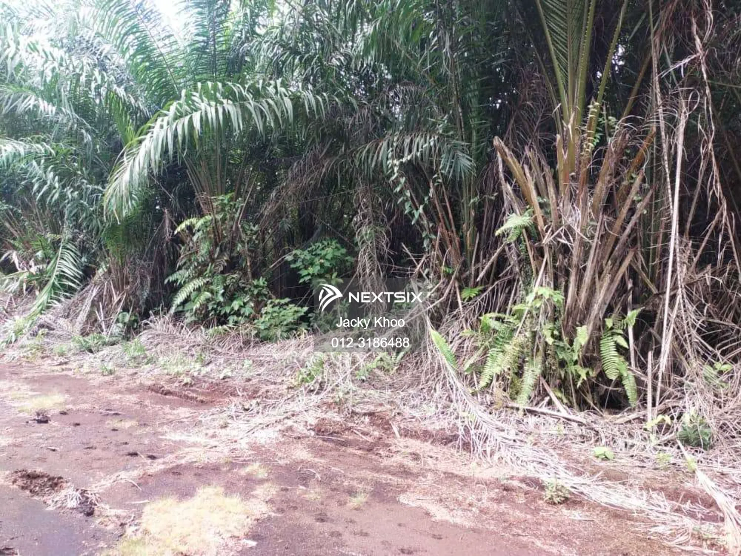 Agricultural Land For Sale in Telok Panglima Garang Selangor - Image 8