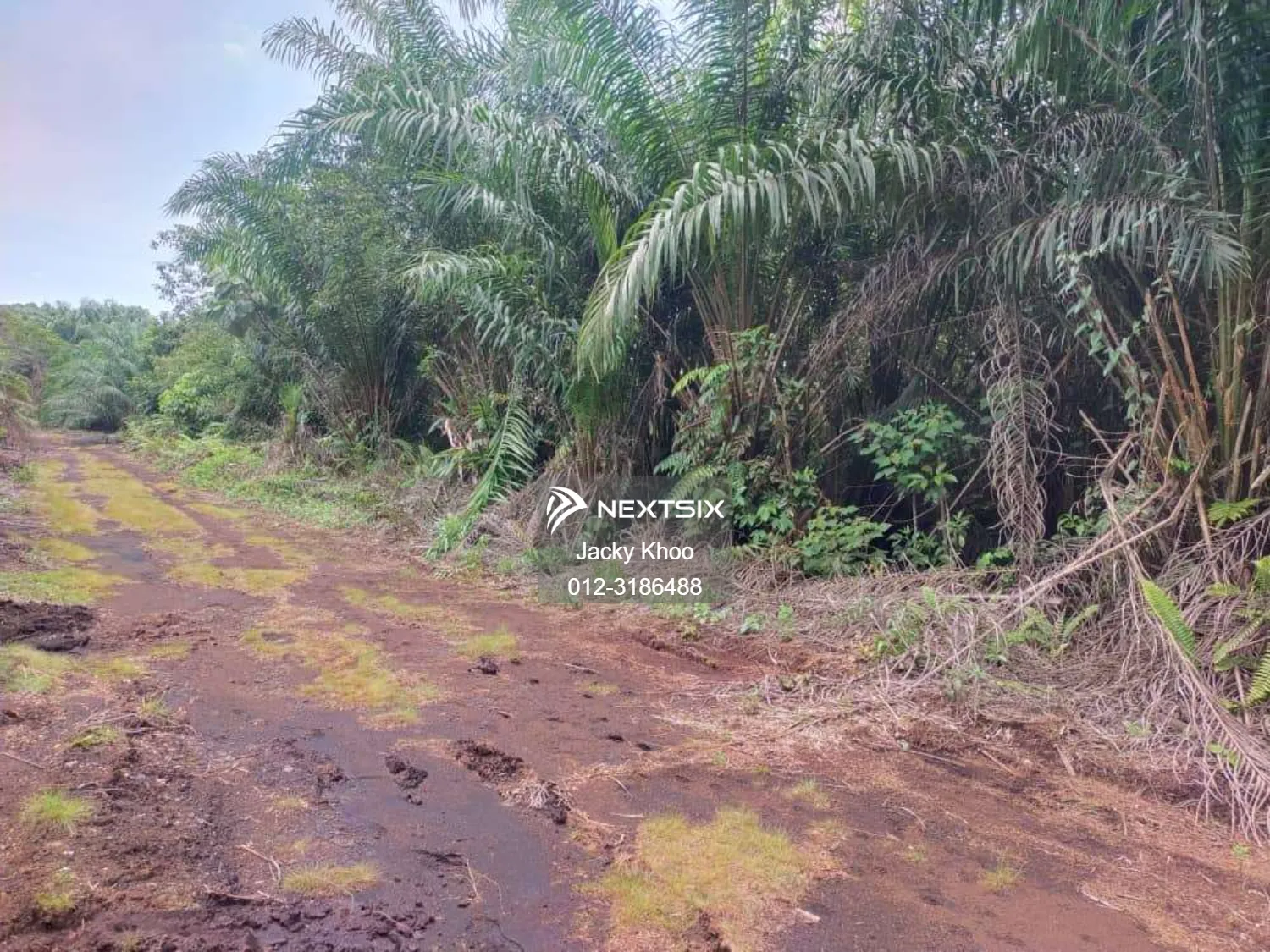 Agricultural Land For Sale in Telok Panglima Garang Selangor - Image 9