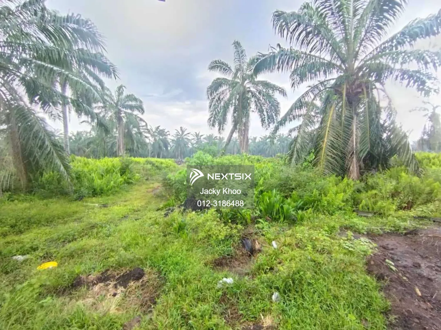 Banting Kampung Sungai Kelambu Felcra 2.1 Acres Land for Sales