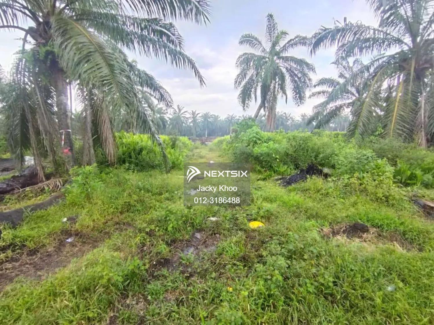 Agricultural Land For Sale in Banting Selangor - Image 2