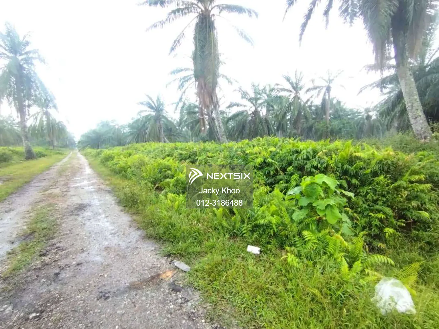 Agricultural Land For Sale in Banting Selangor - Image 3