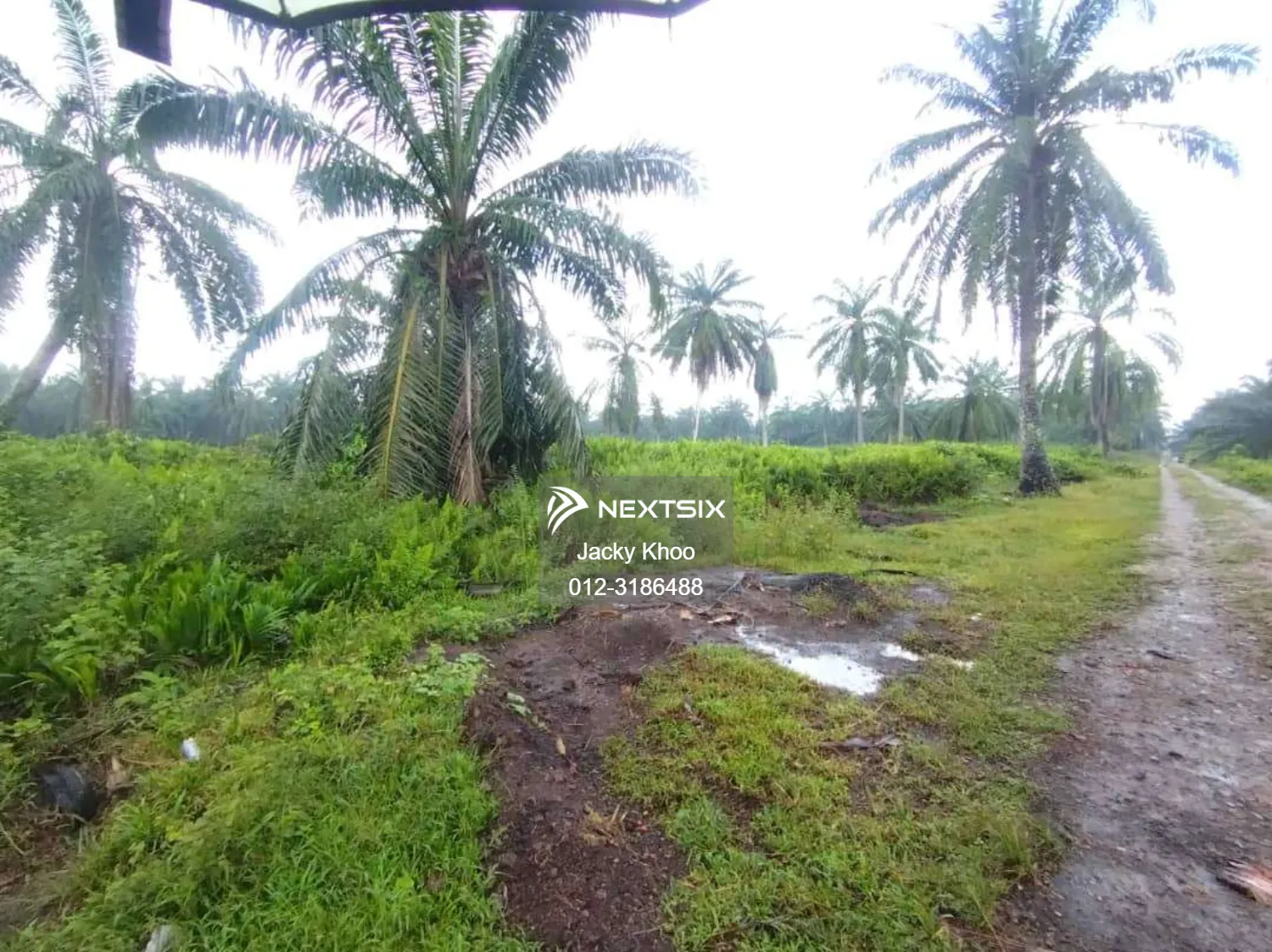 Agricultural Land For Sale in Banting Selangor - Image 4