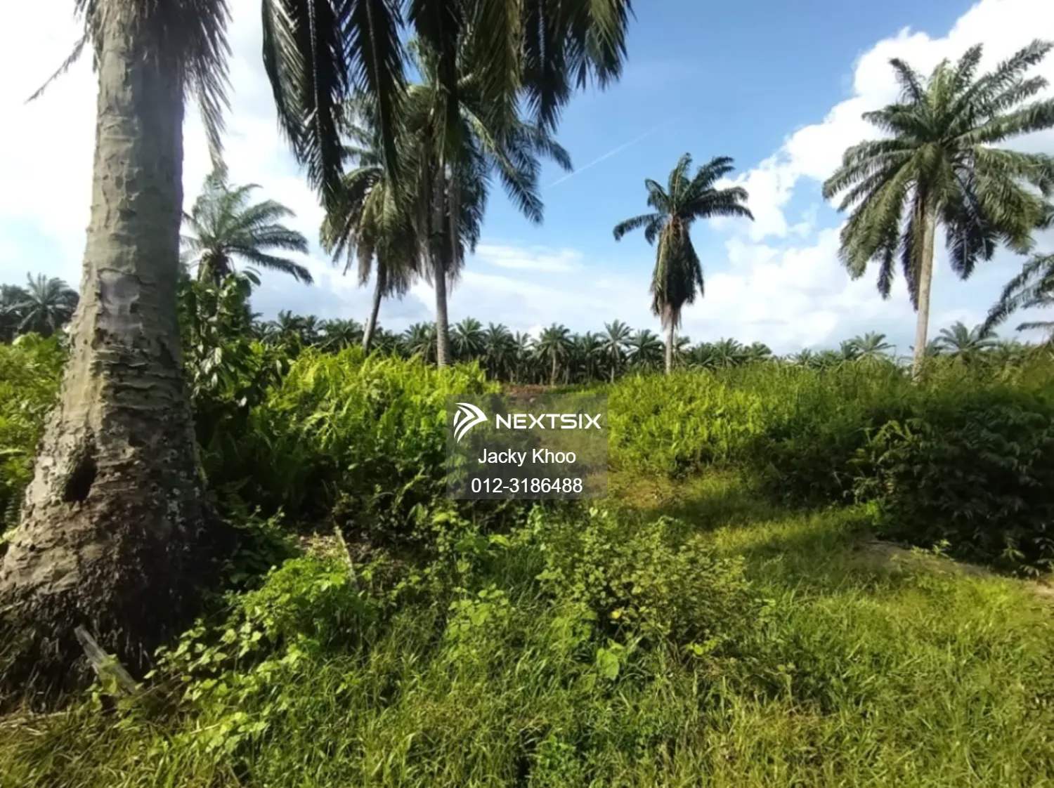Agricultural Land For Sale in Banting Selangor - Image 7