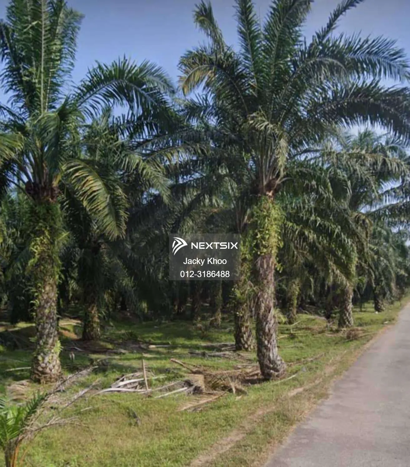 Agricultural Land For Sale in Kamunting Perak