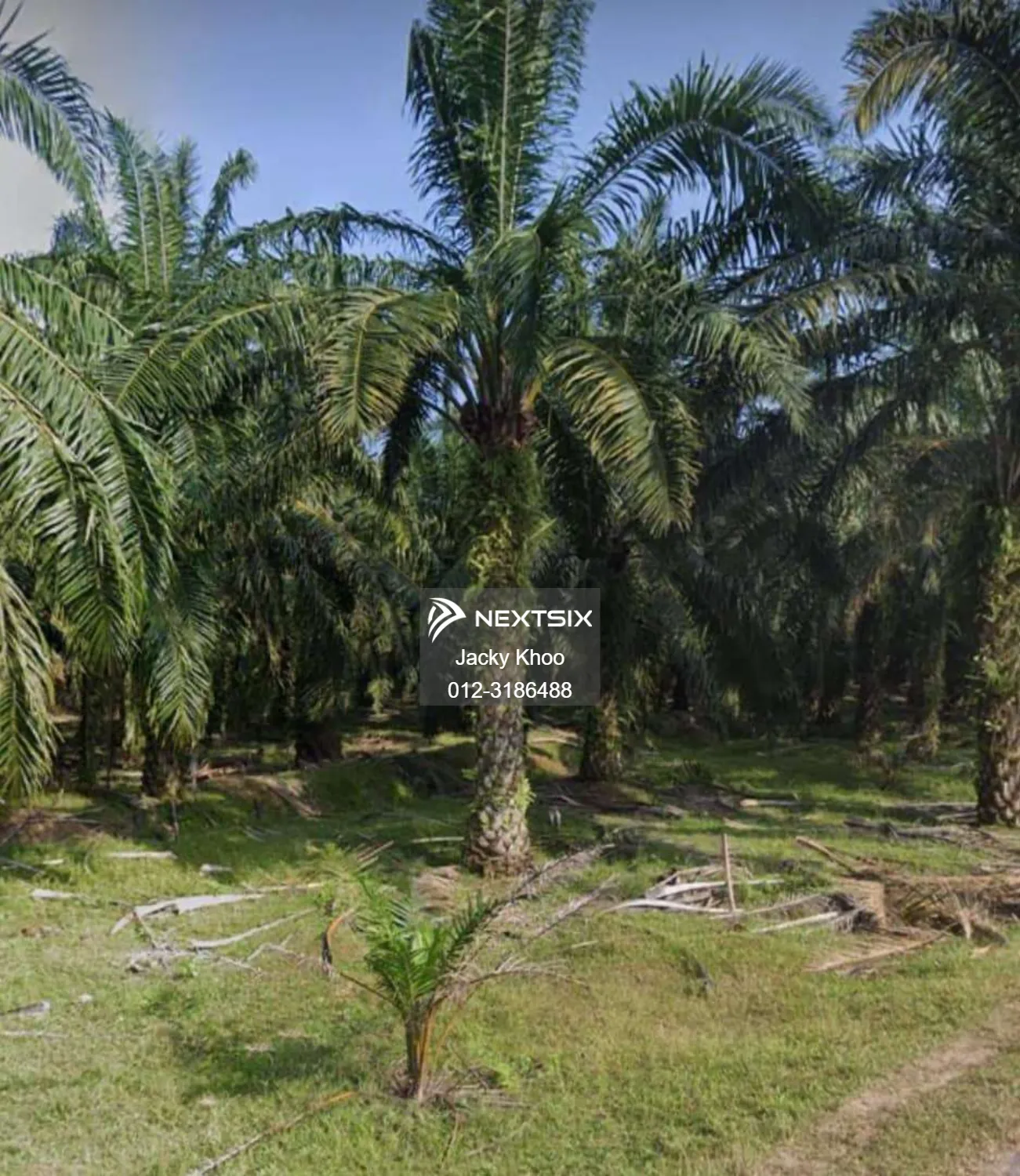 Agricultural Land For Sale in Kamunting Perak - Image 2