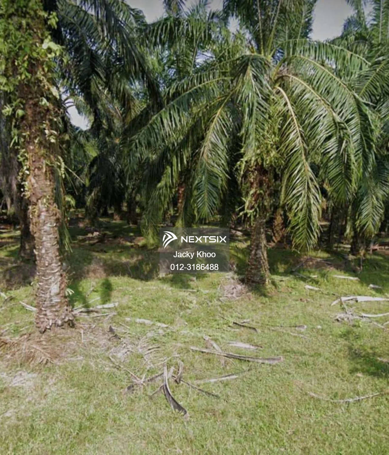 Agricultural Land For Sale in Kamunting Perak - Image 3