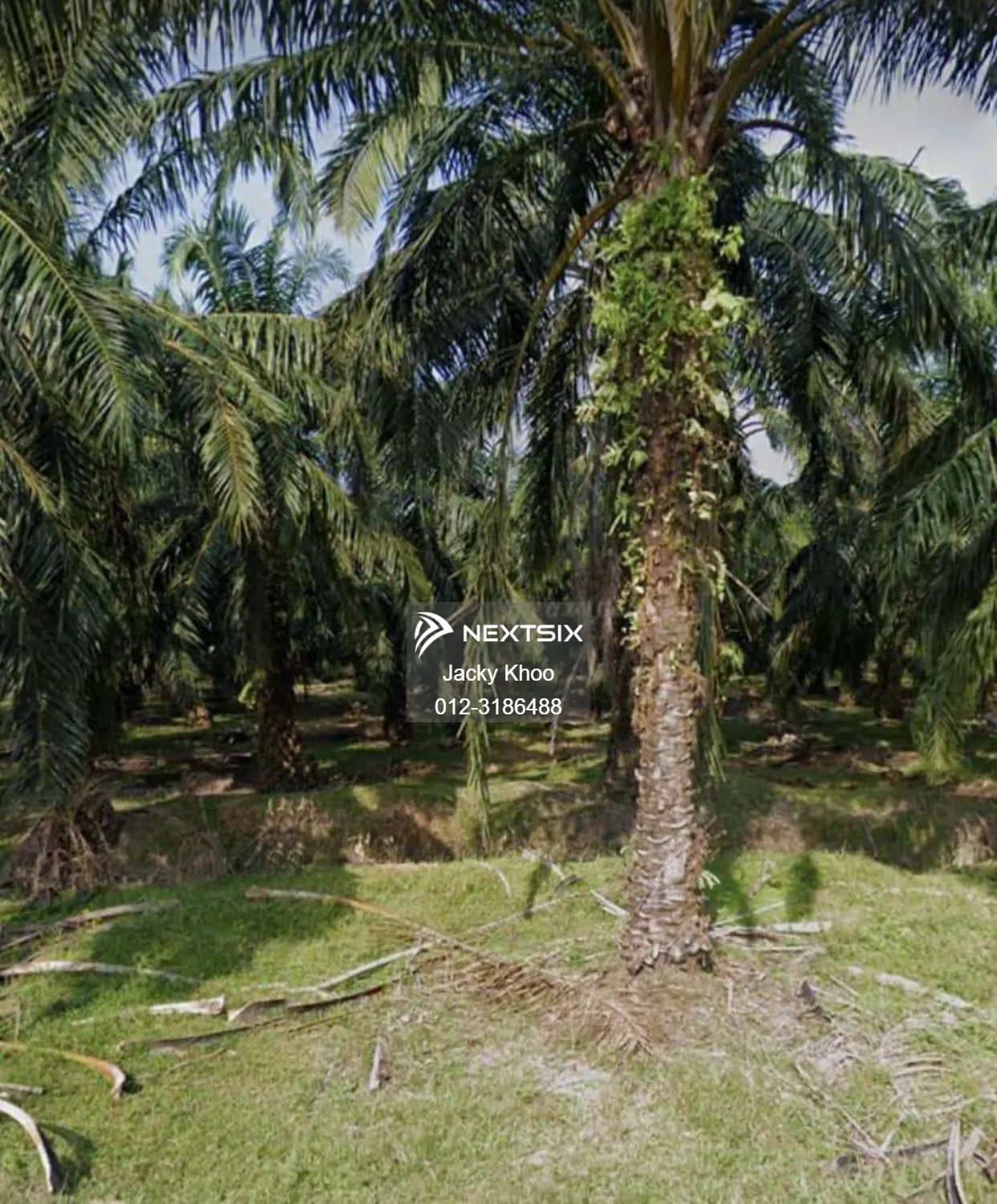 Agricultural Land For Sale in Kamunting Perak - Image 4