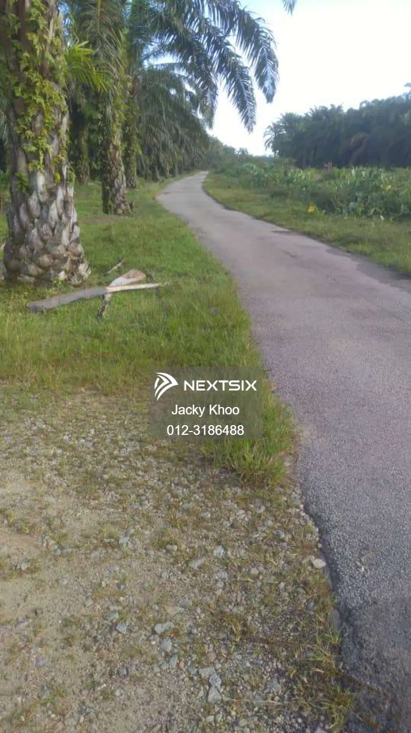 Agricultural Land For Sale in Kamunting Perak - Image 6