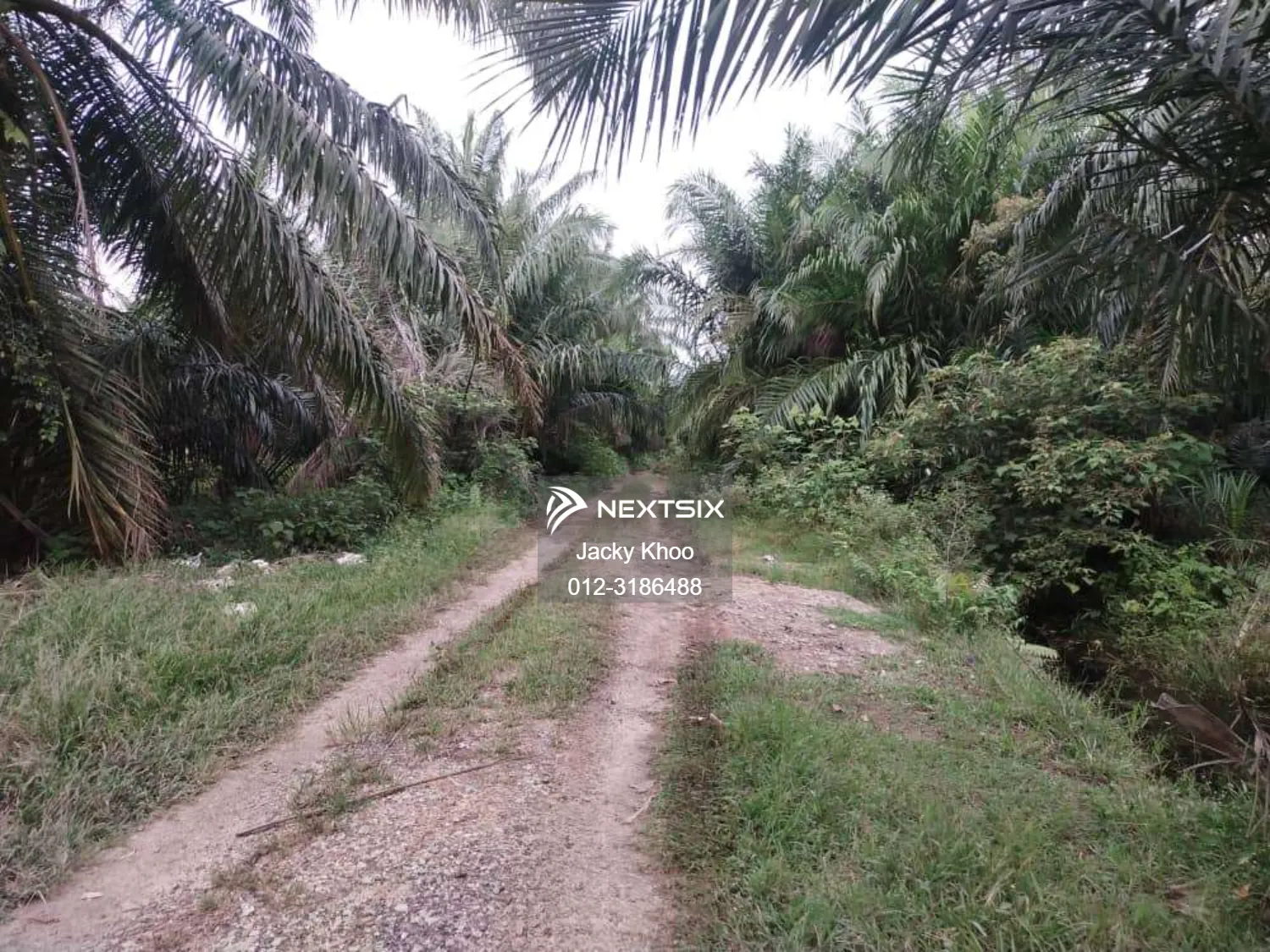 Agricultural Land For Sale in Banting Selangor