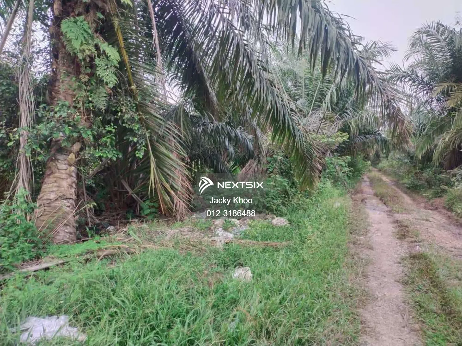 Agricultural Land For Sale in Banting Selangor - Image 5