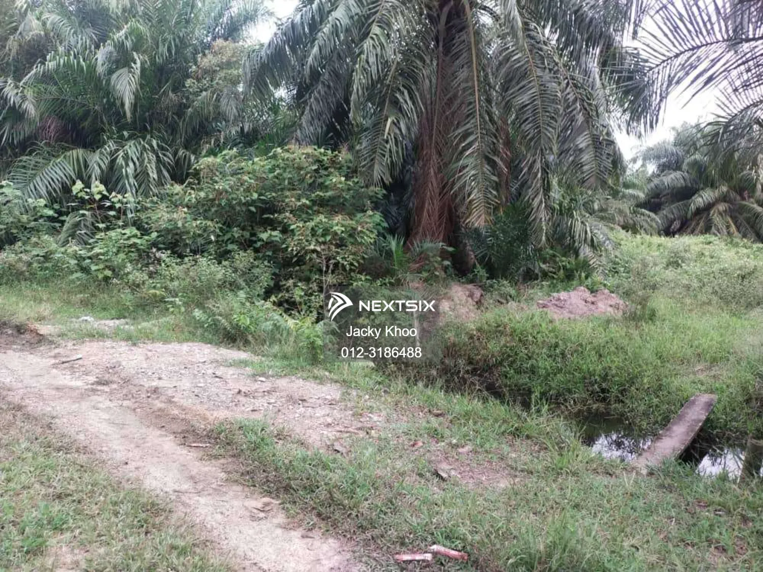 Agricultural Land For Sale in Banting Selangor - Image 6