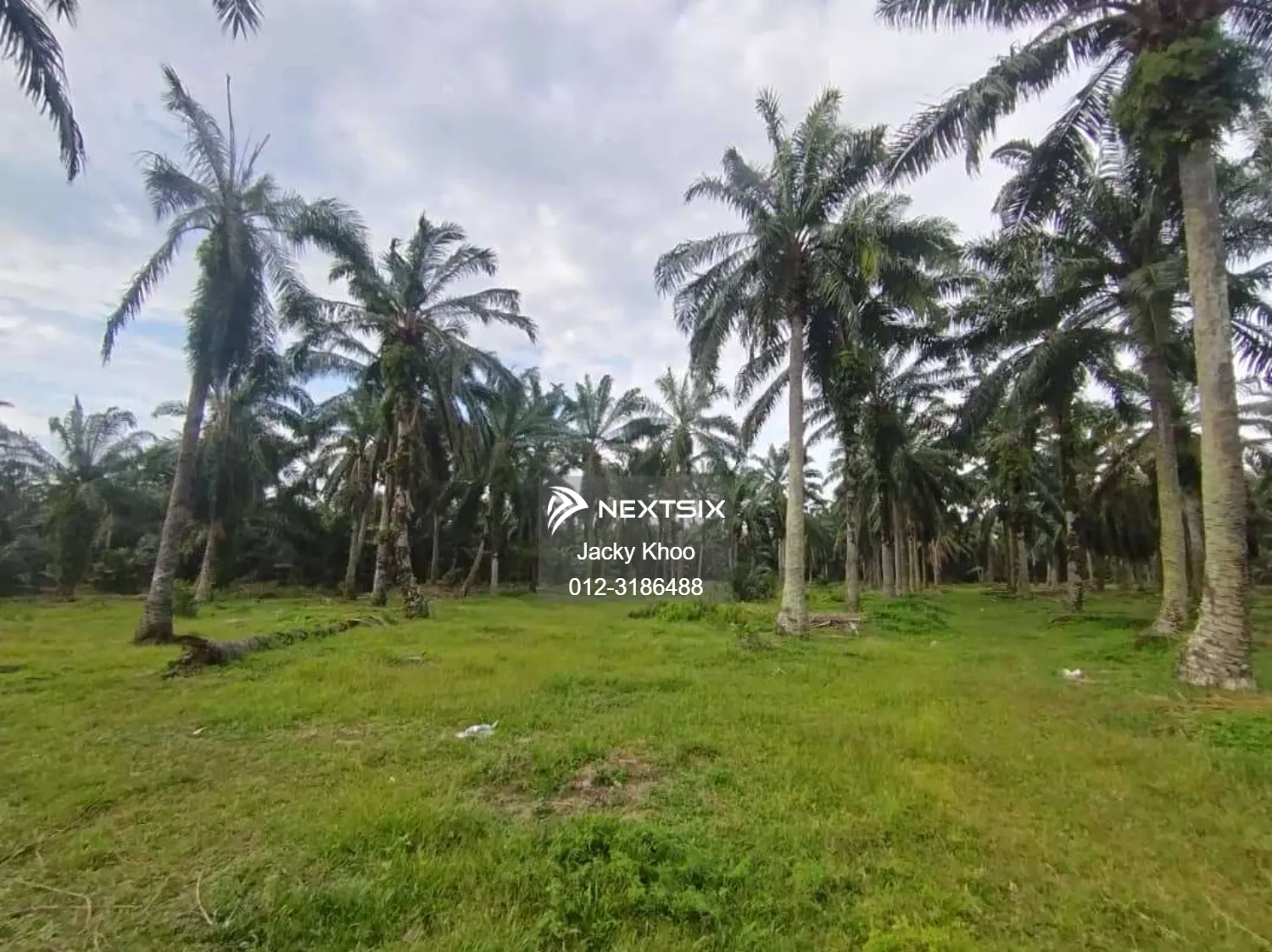 Agricultural Land For Sale in Banting Selangor - Image 5