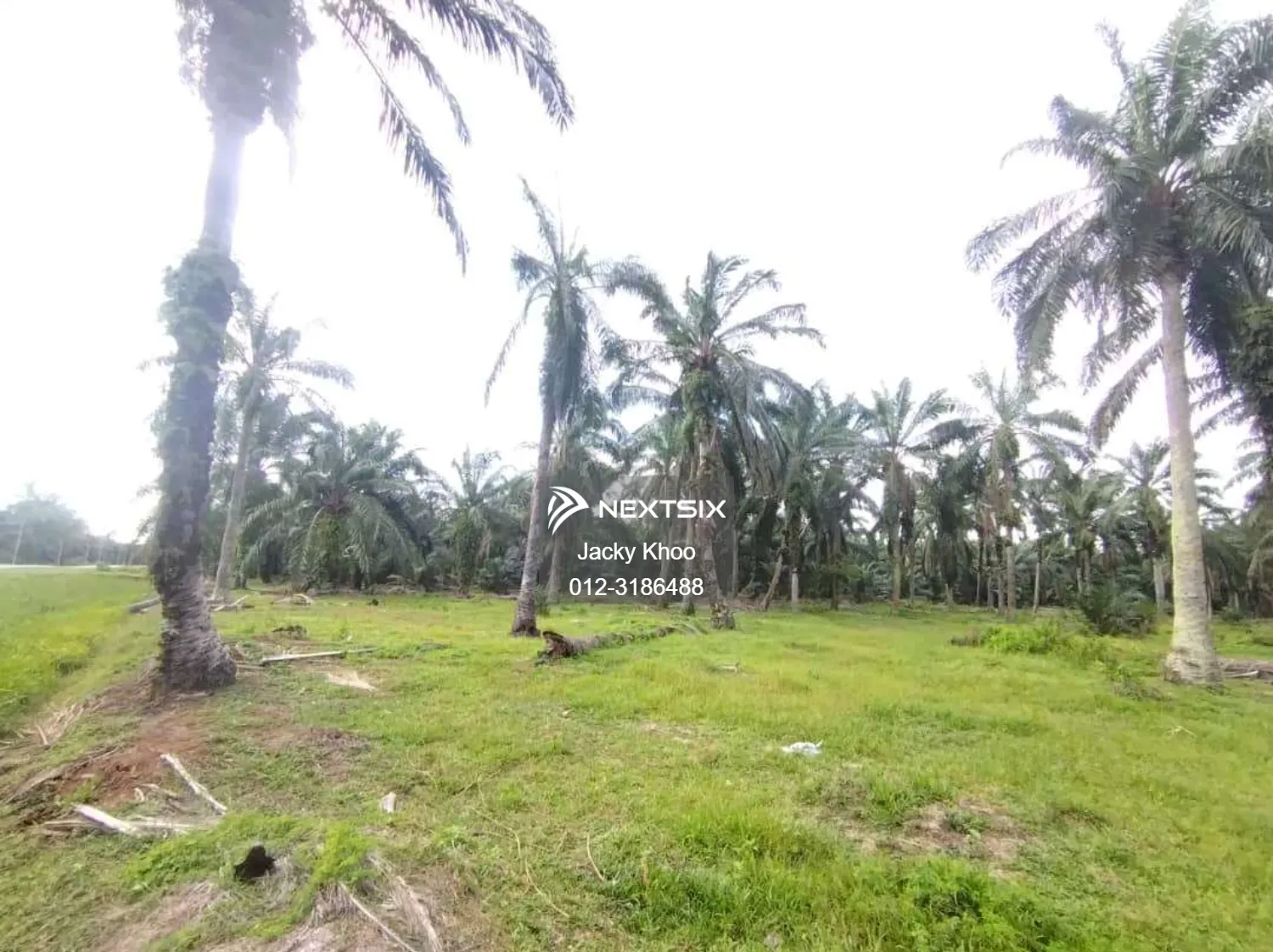 Agricultural Land For Sale in Banting Selangor - Image 6