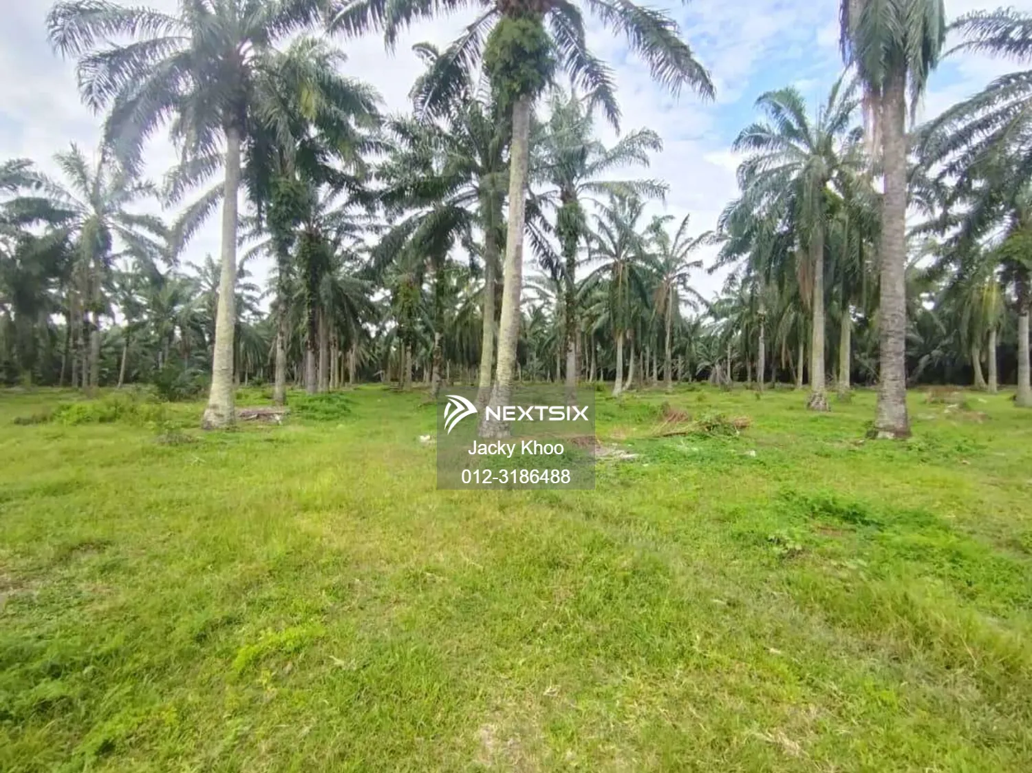Agricultural Land For Sale in Banting Selangor - Image 8