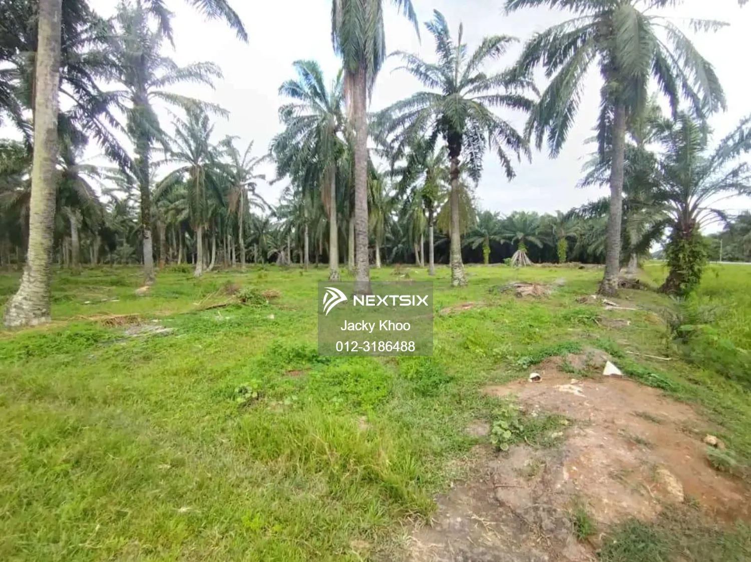 Agricultural Land For Sale in Banting Selangor - Image 9