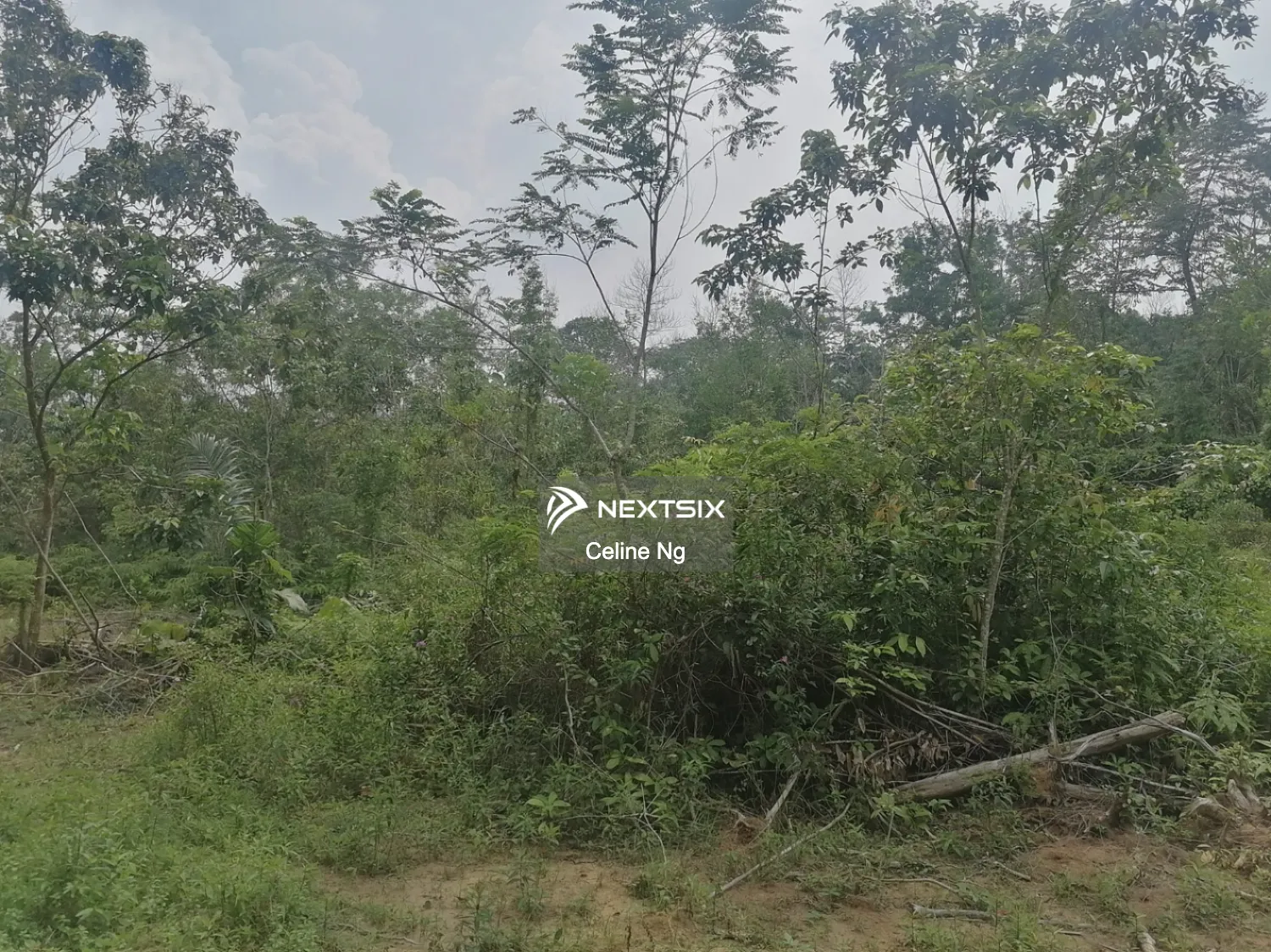 Senai, Agriculture Land for Sale