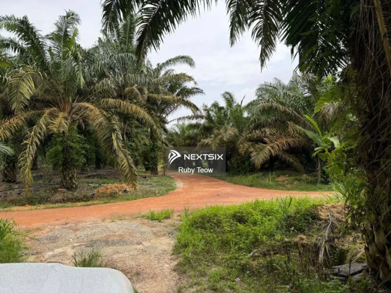 Simpang Renggam - Agricultural Land For Sale