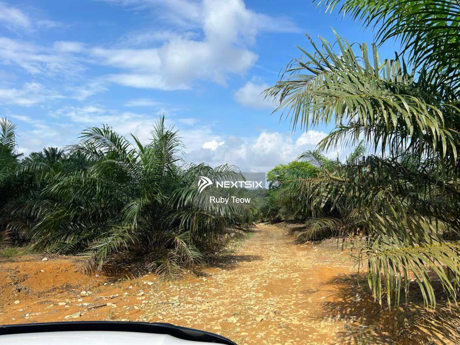 Seelong - Agricultural Land For Sale