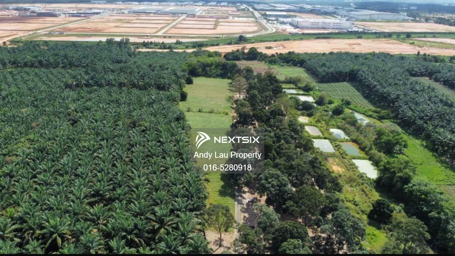Senai / Kulai / Seelong / Saleng / Kelapa Sawit / Kempas