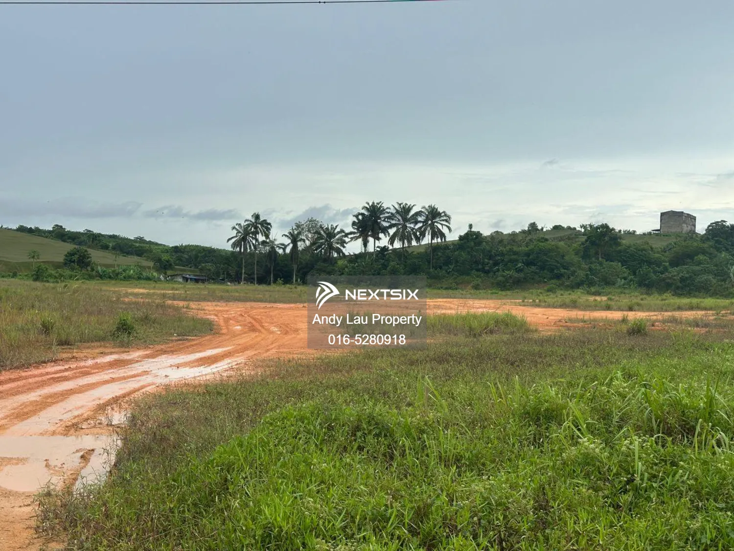 Seelong / Seelong / Saleng / Kulai / Kelapa Sawit / Kempas