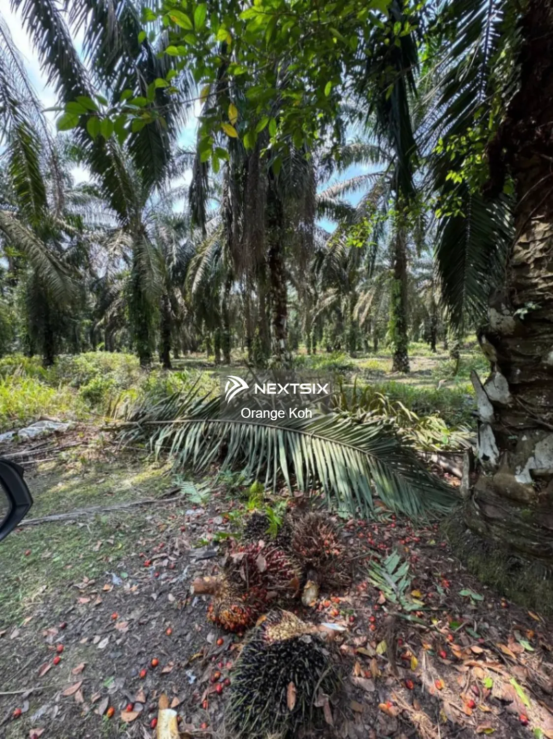 Agricultural Land For Sale in Kulai Johor - Image 5