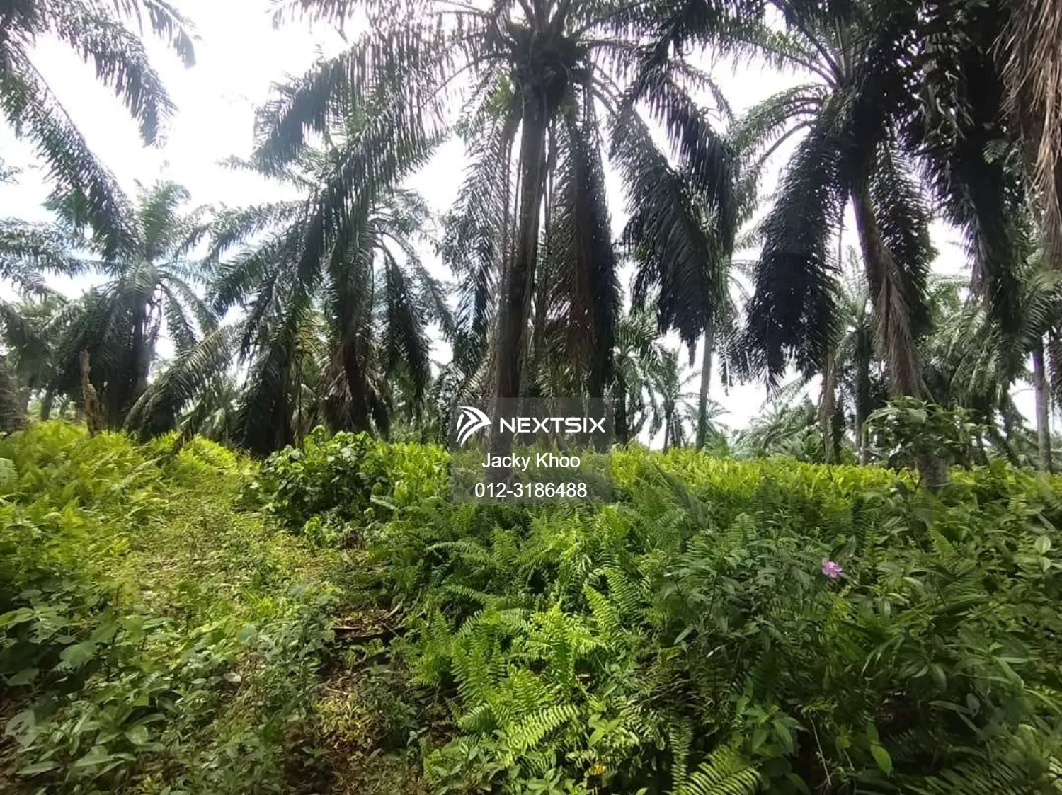Banting Land for Sale , Sungai Kelambu 2 , 2.153 Acres Flat Land for Sale