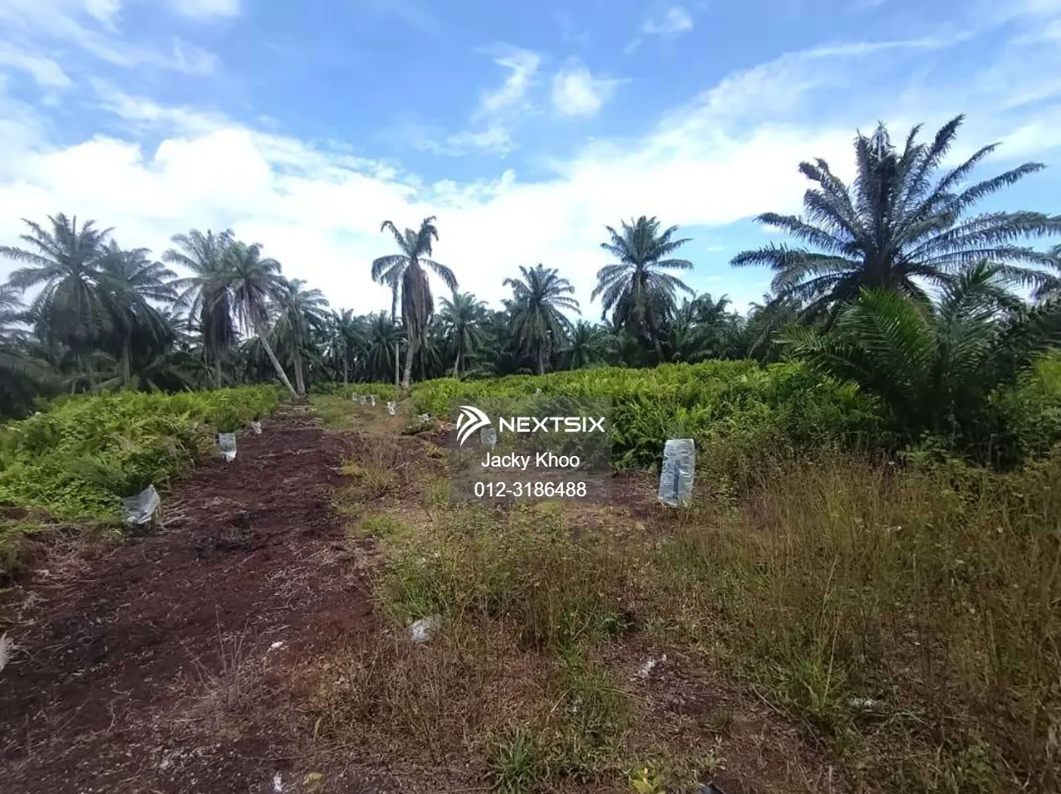 Agricultural Land For Sale in Banting Selangor - Image 3