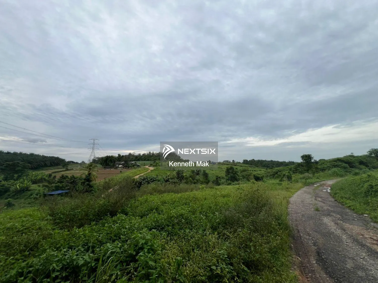 Agriculture Land @ Ulu Tiram - Oil Palm Plantation
