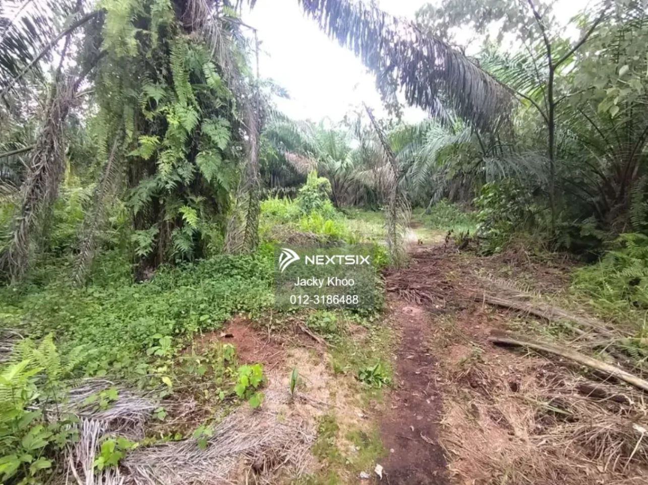 Agricultural Land For Sale in Klang Selangor - Image 5