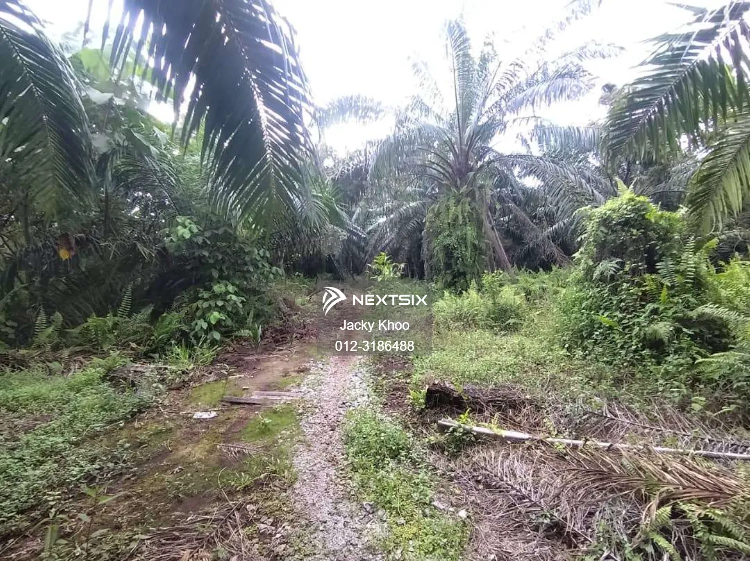 Agricultural Land For Sale in Klang Selangor - Image 6