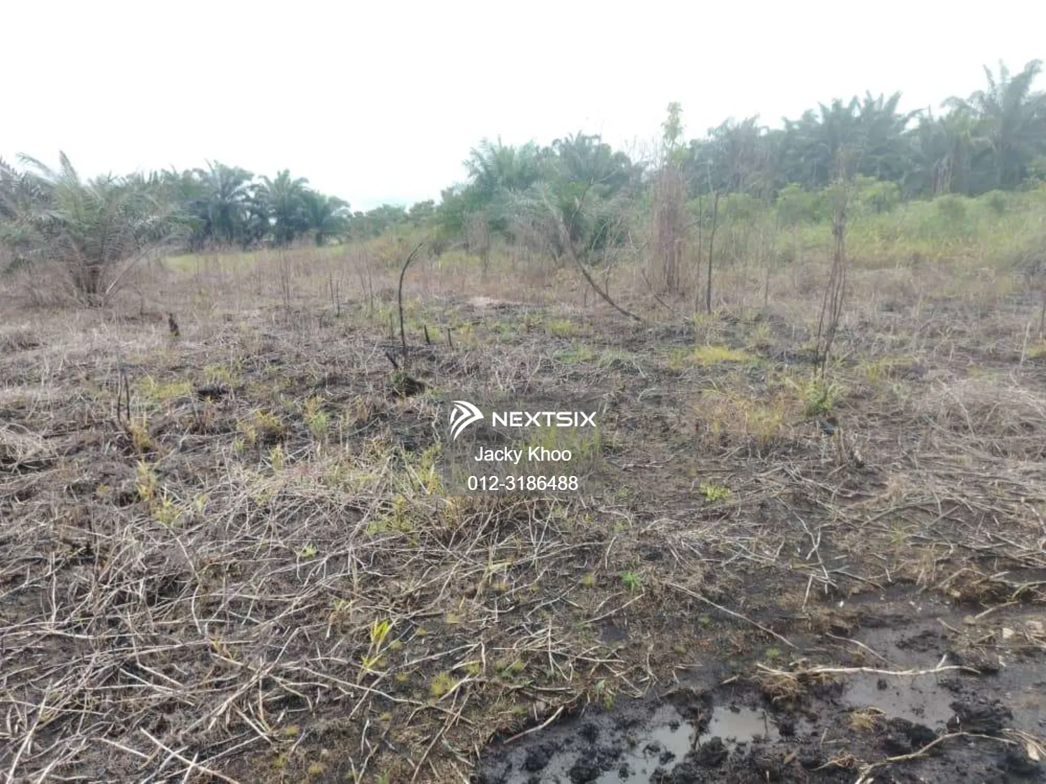 Agricultural Land For Sale in Klang Selangor - Image 3