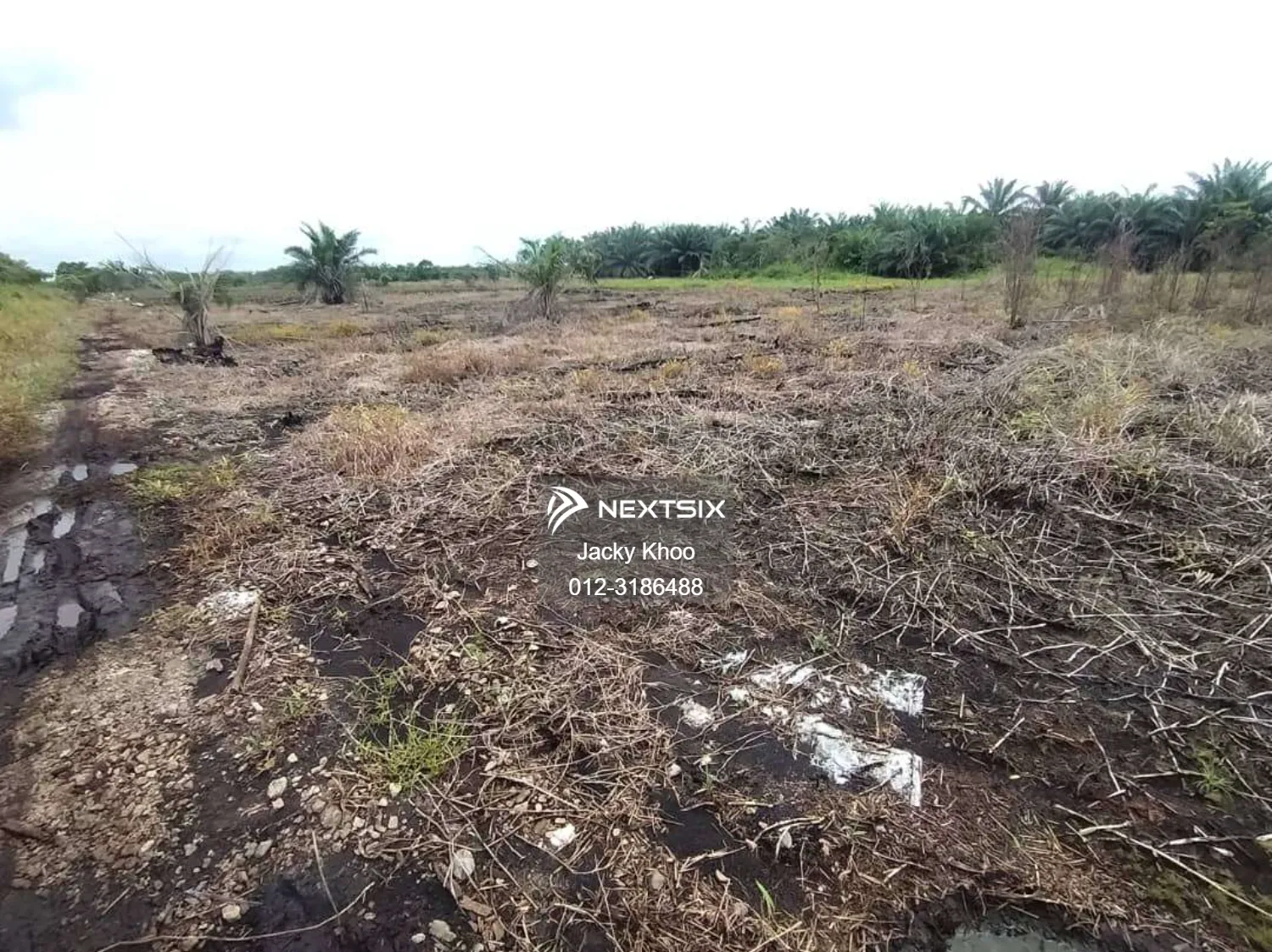 Agricultural Land For Sale in Klang Selangor - Image 4