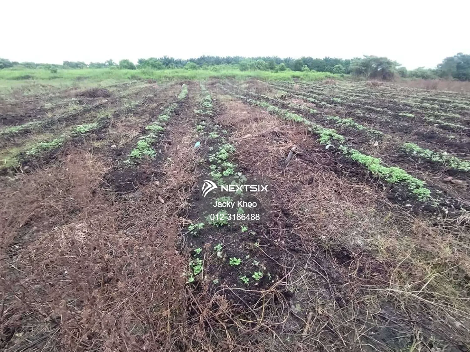 Agricultural Land For Sale in Klang Selangor - Image 6