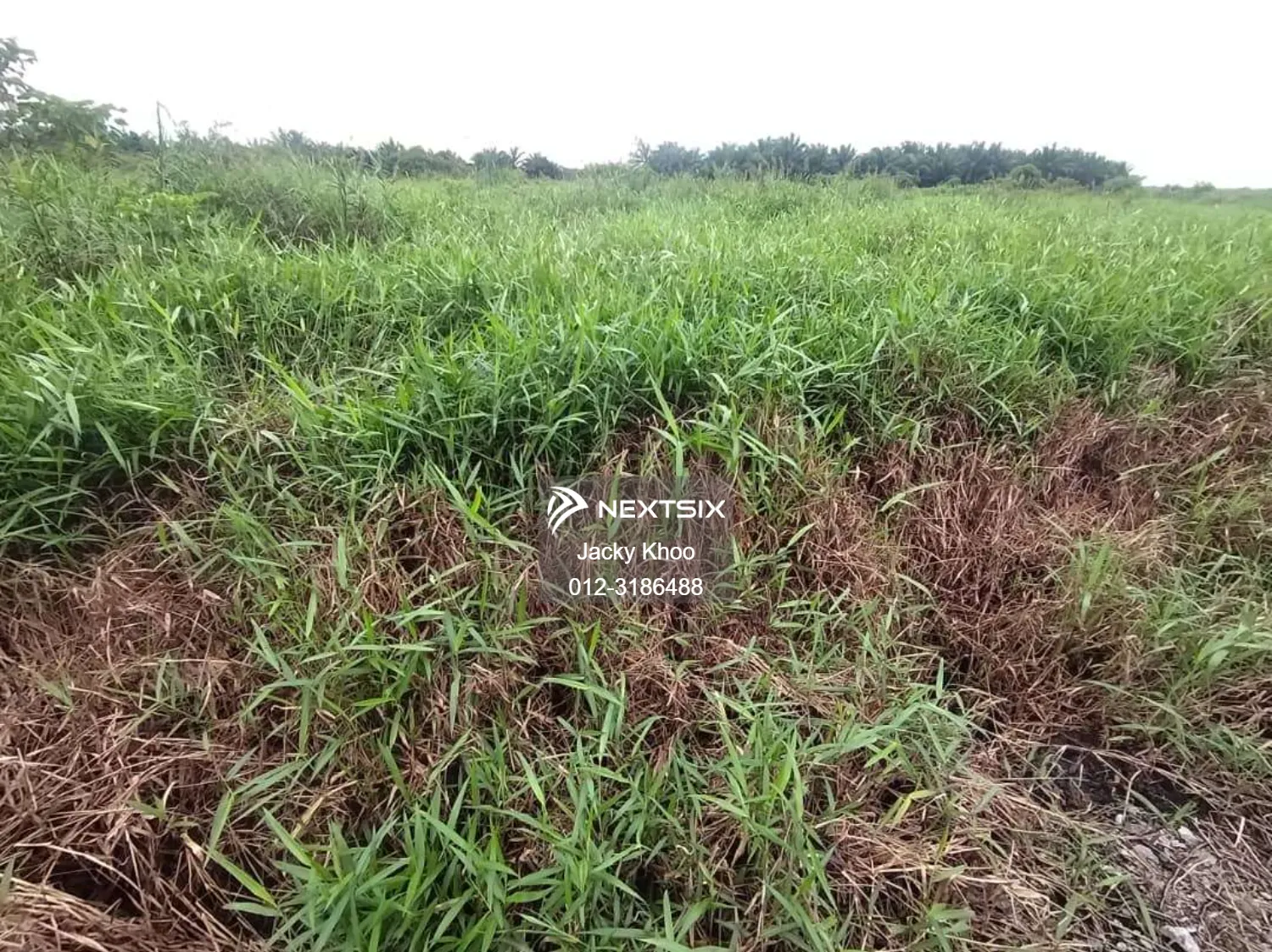 Agricultural Land For Sale in Klang Selangor - Image 8
