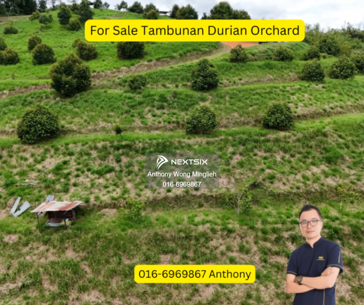 Tambunan Durian Orchard CL25 acres