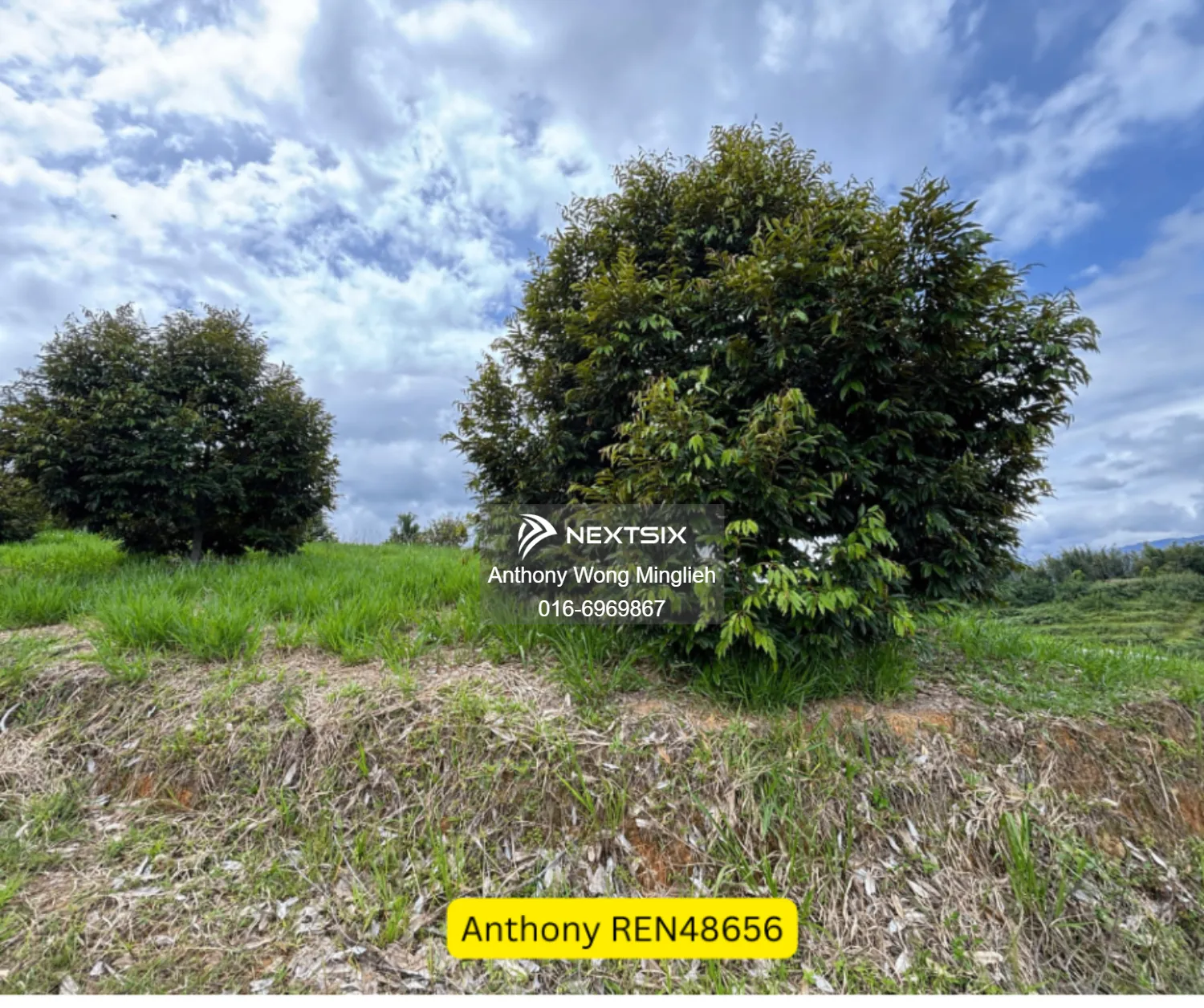 Agricultural Land For Sale in Tambunan Sabah - Image 5