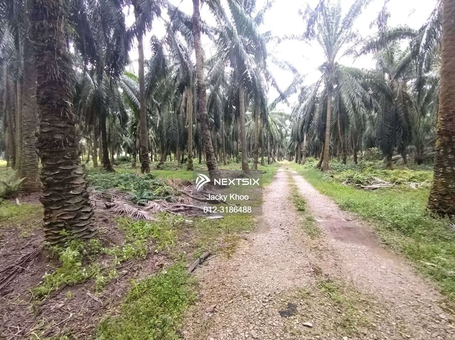 Bukit Changgang Land for Sale, Kuala Langat, 1.0 Acres Land for Sale