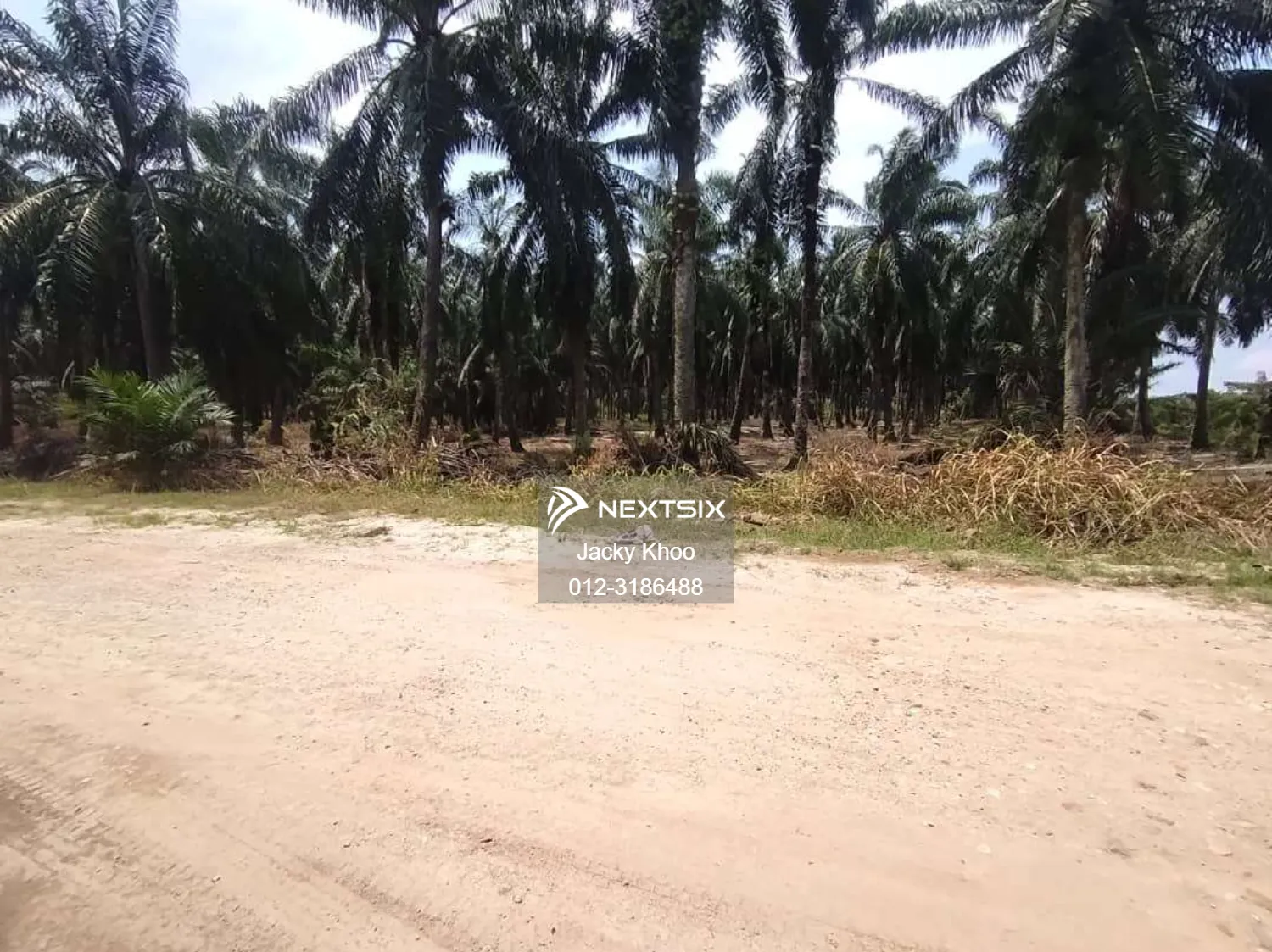 Agricultural Land For Sale in Banting Selangor - Image 2