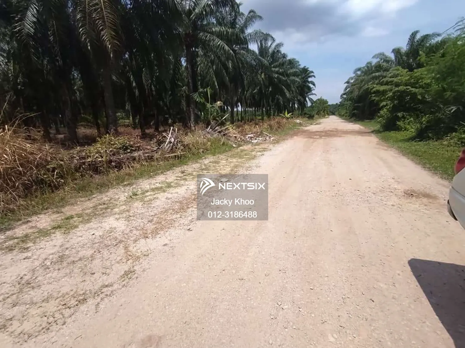 Agricultural Land For Sale in Banting Selangor - Image 3