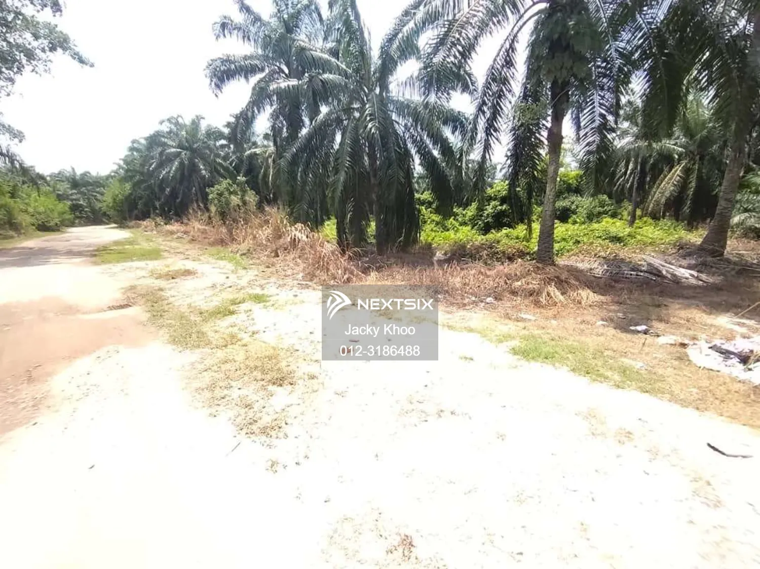 Agricultural Land For Sale in Banting Selangor - Image 4