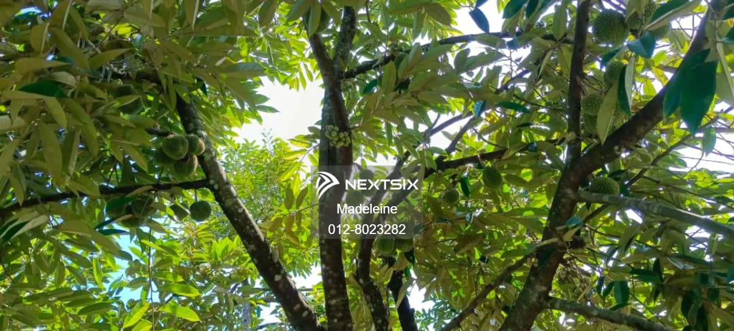 Agricultural Land For Sale in Papar Sabah - Image 5