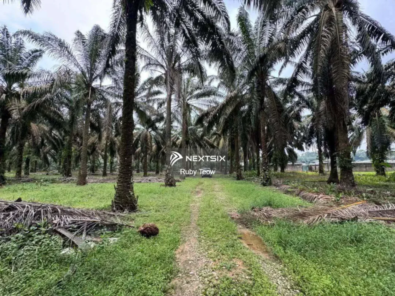 Kulai - Housing Zone Land for Sale
