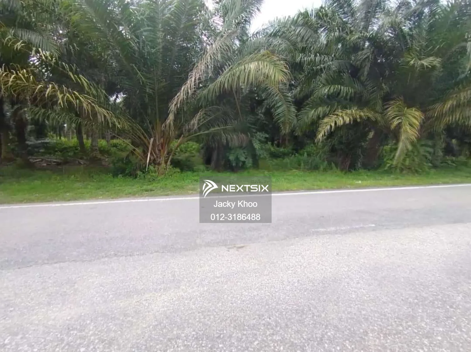 Bukit Perah Land , Seri Cheeding, JENJAROM, Tanjung Dua Belas, Banting, 10 acres Flat Land