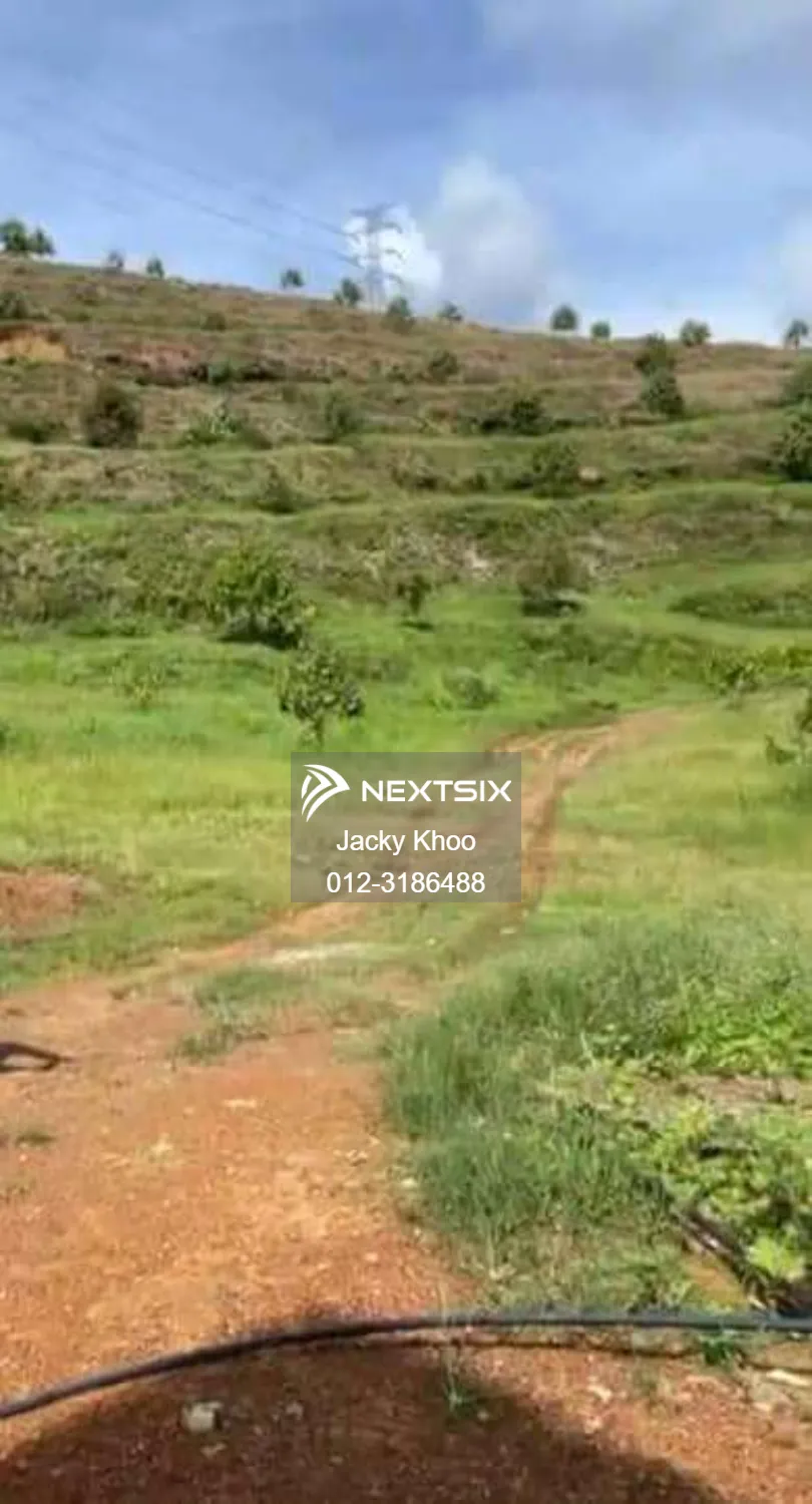 Agricultural Land For Sale in Kuala Lipis Pahang - Image 2